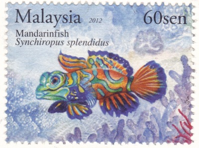 MALAYSIA mandarinfish