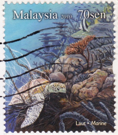 MALAYSIA turtle