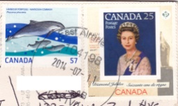 CANADA-porpoise